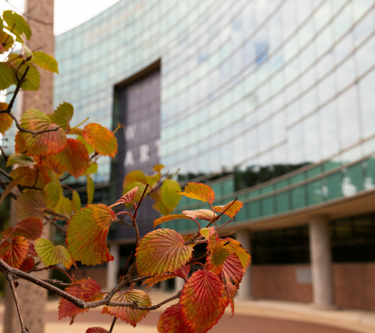 More Info for From Page to Premiere-Bringing Sally: A Solo Play to Life 